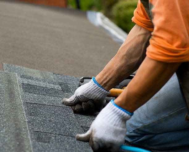 Quick and Trustworthy Emergency Roof Repair Services in Southgate, MI