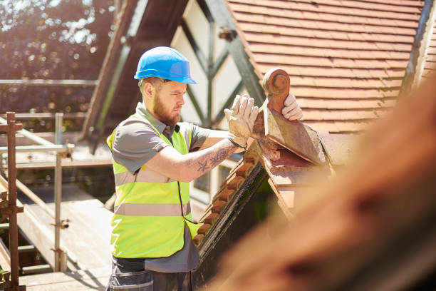 Roof Gutter Cleaning in Southgate, MI